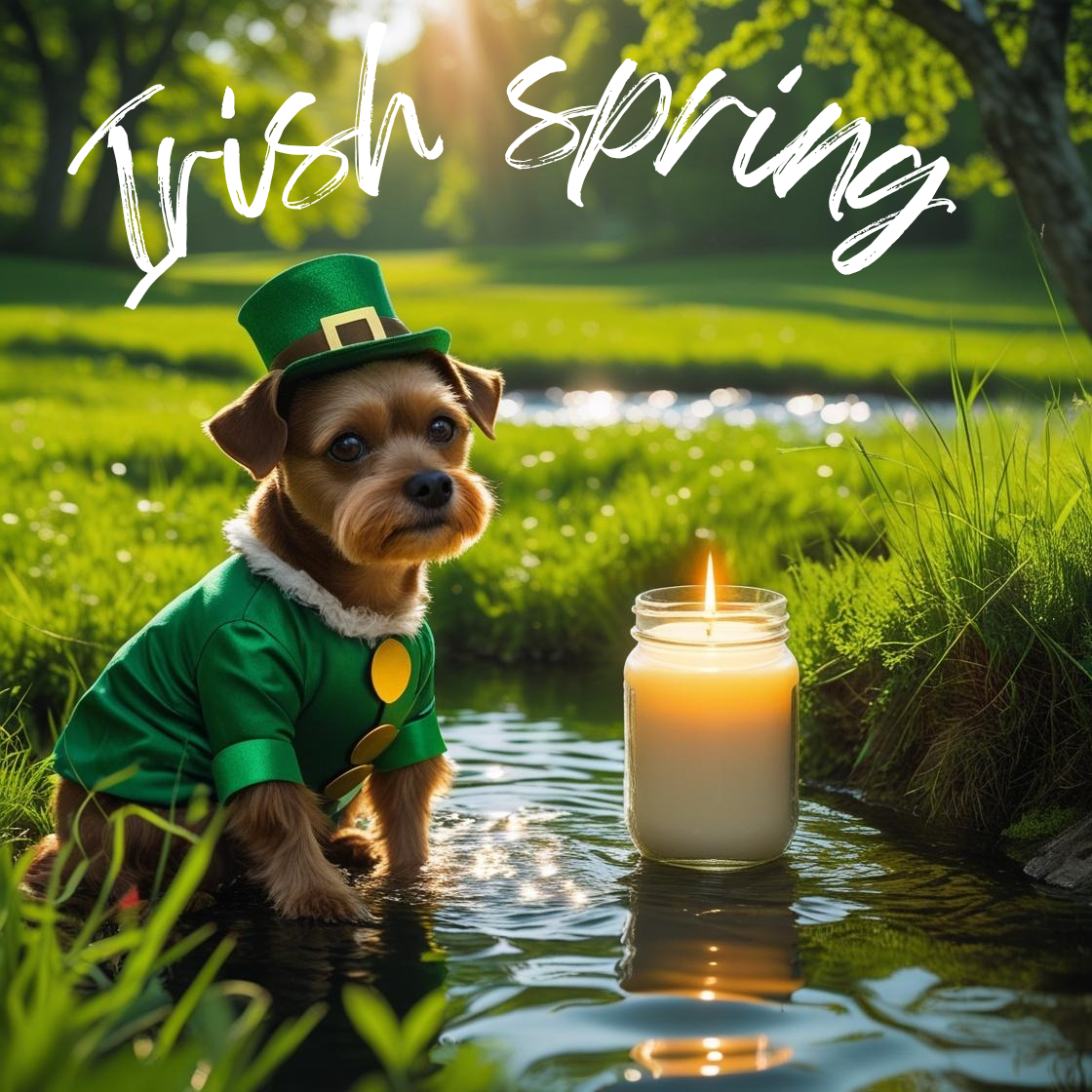 Irish spring 8oz soy candle