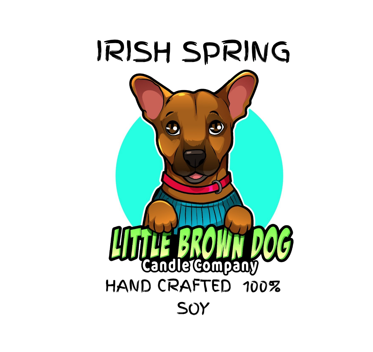 Irish spring 8oz soy candle