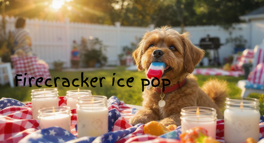 Firecracker ice pop 8oz soy