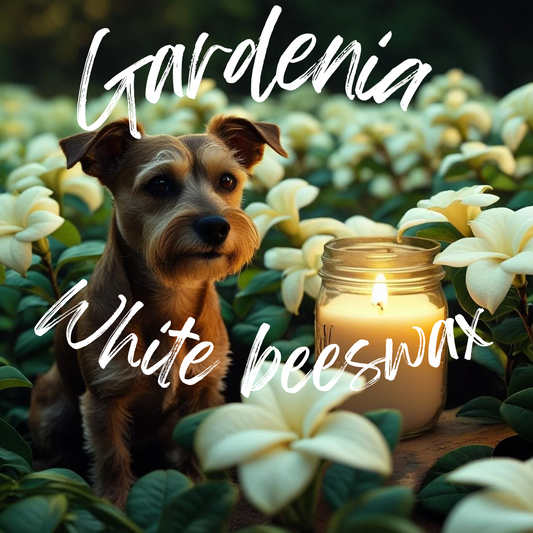 Gardenia 8 oz white beeswax candle