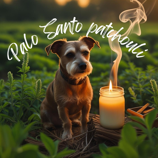Palo Santo Patchouli 8oz soy candle