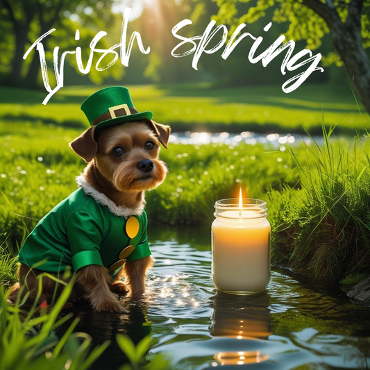 Irish spring 8oz soy candle